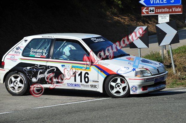 DSC_7784.jpg